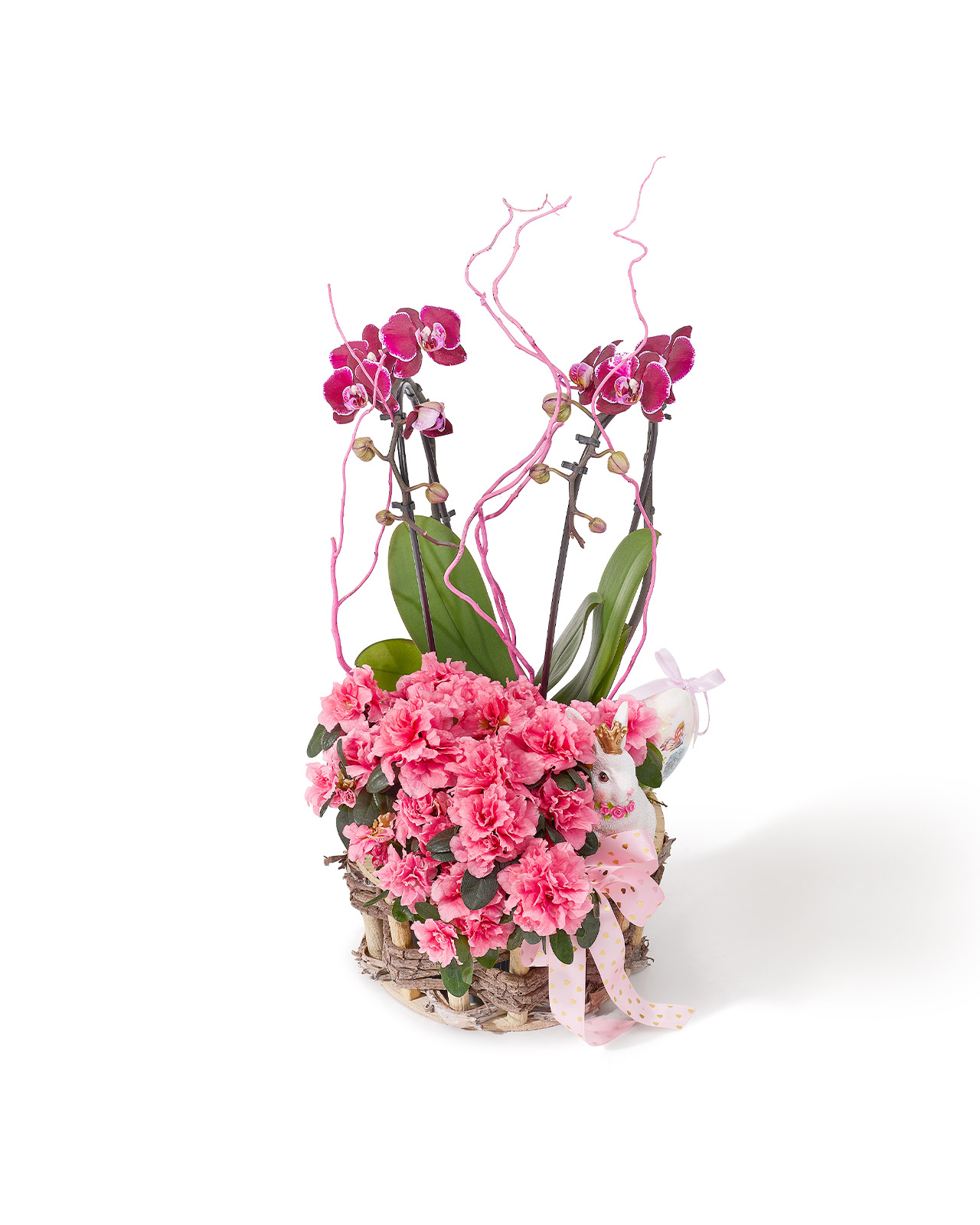 Aranjament de Paste din plante naturale in ghiveci, in cos natur, cu orhidee Phalaenopsis roz si rhododendron „Twilight Radiance”