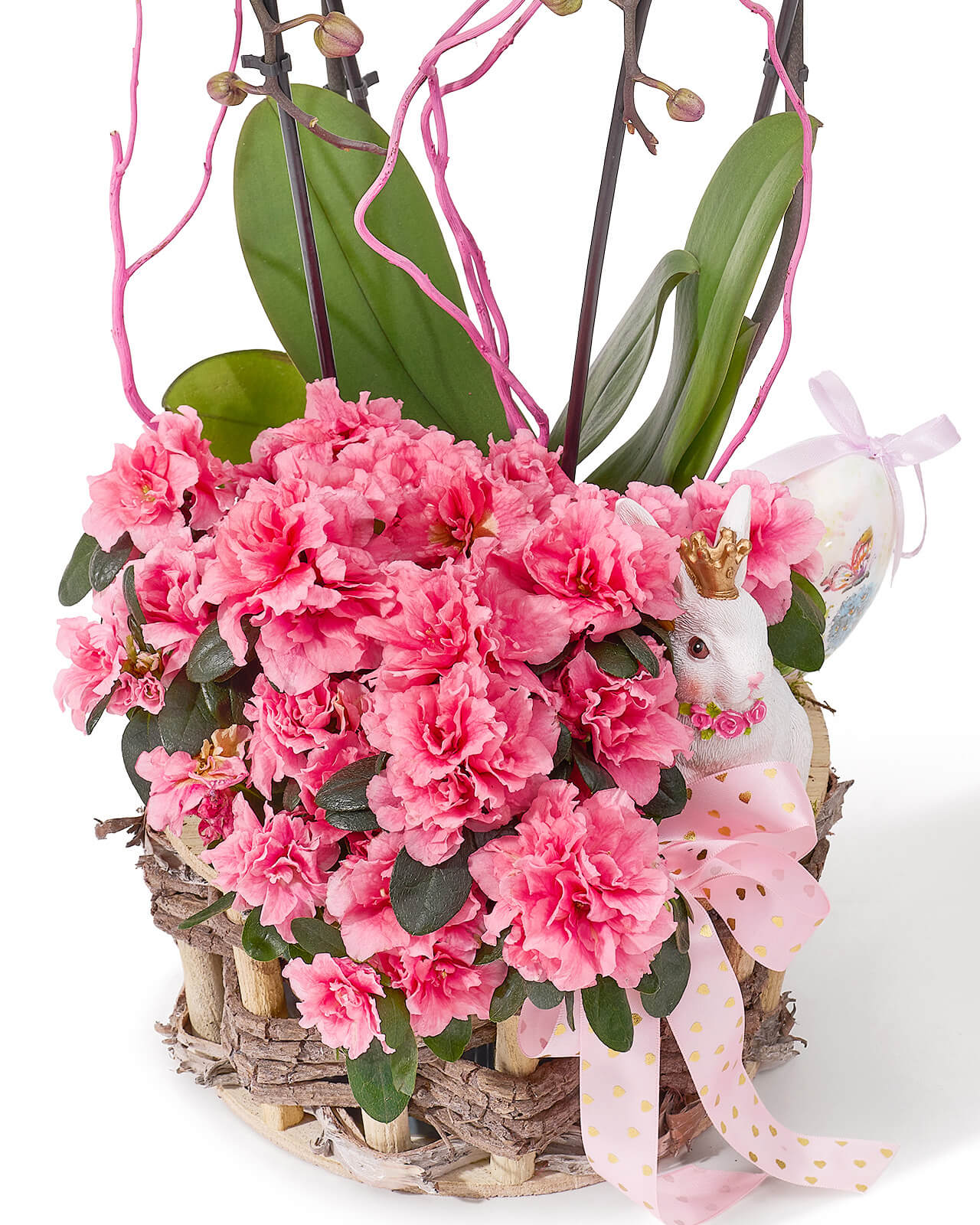 Aranjament de Paste din plante naturale in ghiveci, in cos natur, cu orhidee Phalaenopsis roz si rhododendron „Twilight Radiance”
