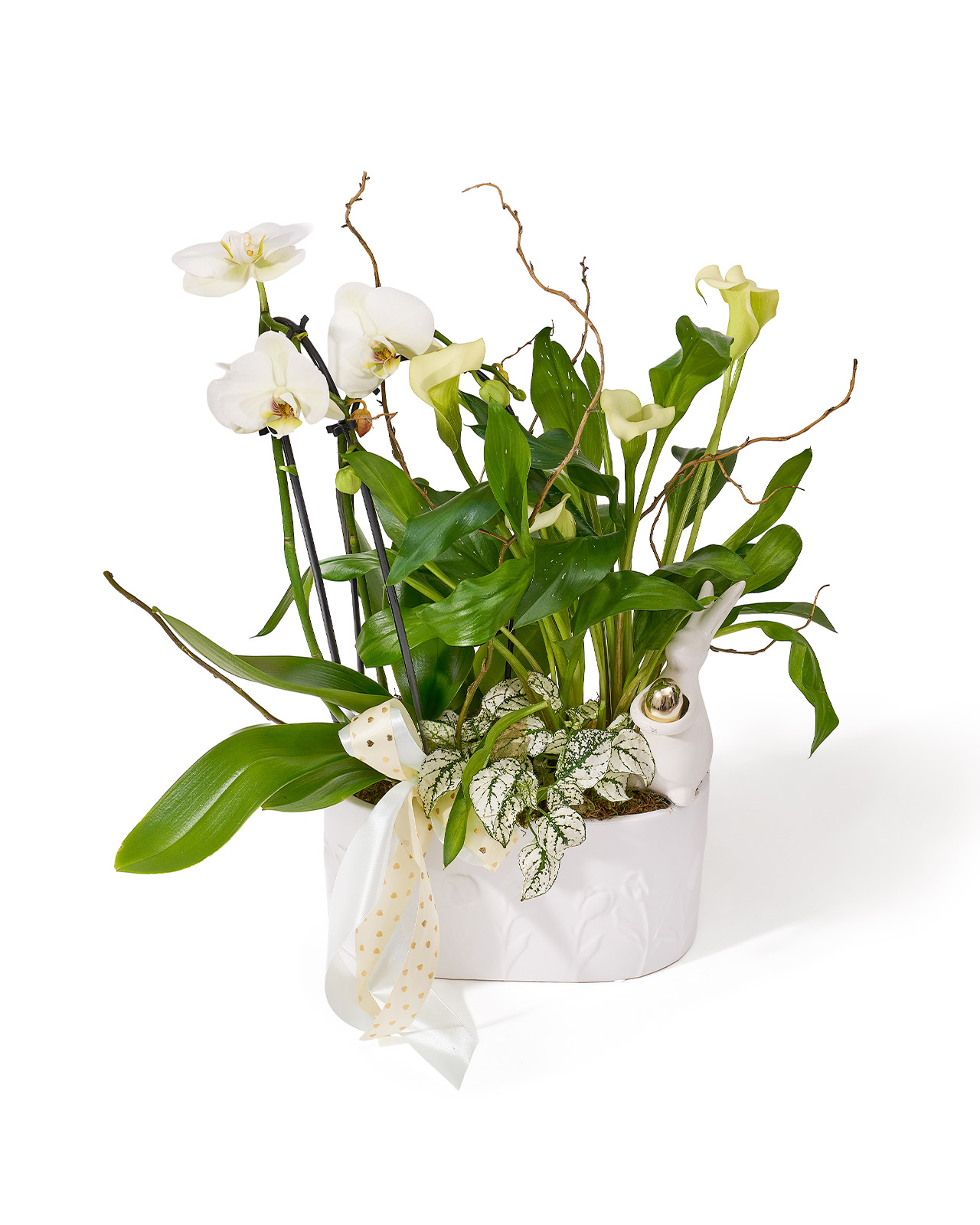 Aranjament de Paste din plante naturale în ghiveci, cu orhidee Phalaenopsis, cala si hypoestes „Floral Poetry”