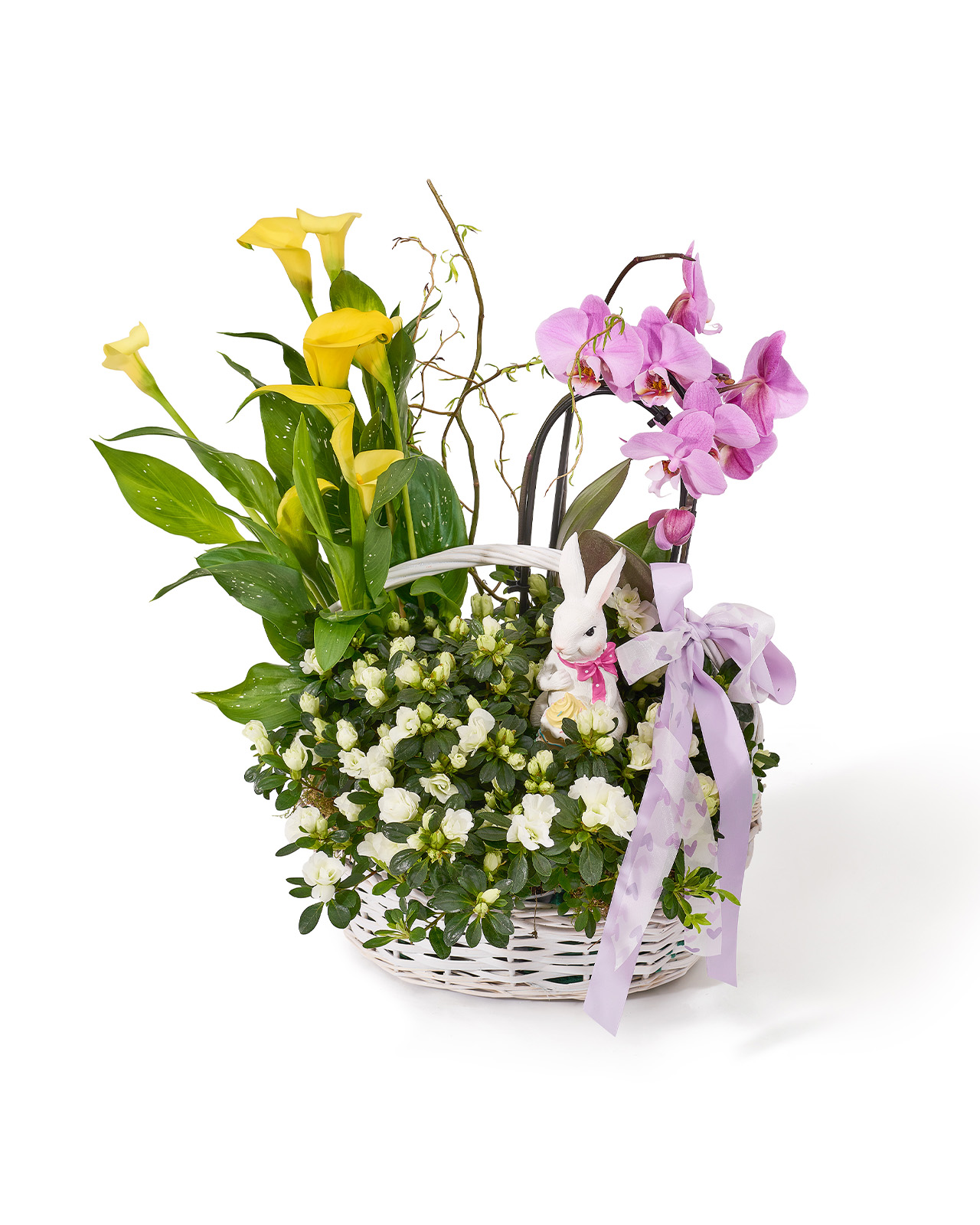 Aranjament de Paste din plante naturale în ghiveci, cu orhidee Phalaenopsis, cala si rhododendron „Soft Radiance”