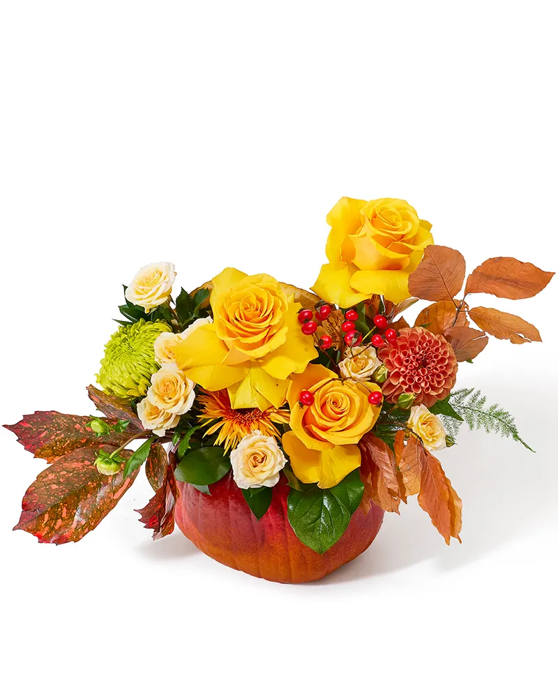 Aranjament floral cu dovleac, trandafiri și crizantemă „Autumn Charm”