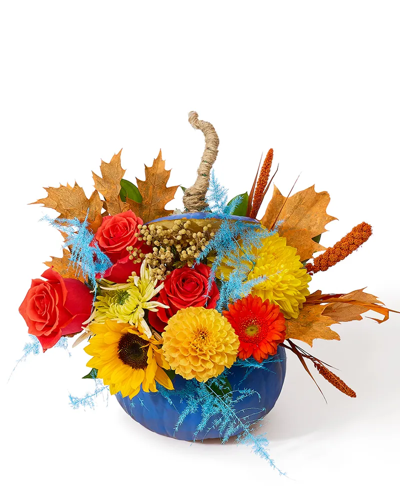 Aranjament floral cu dovleac, trandafiri și crizanteme „Autumn Bliss”