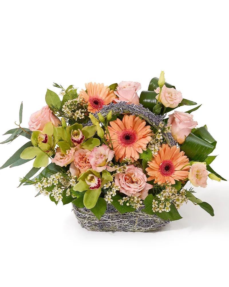 Aranjament floral in cos cu trandafiri și gerbera somon, lisianthus si cupe cymbidium „Petal Glow”