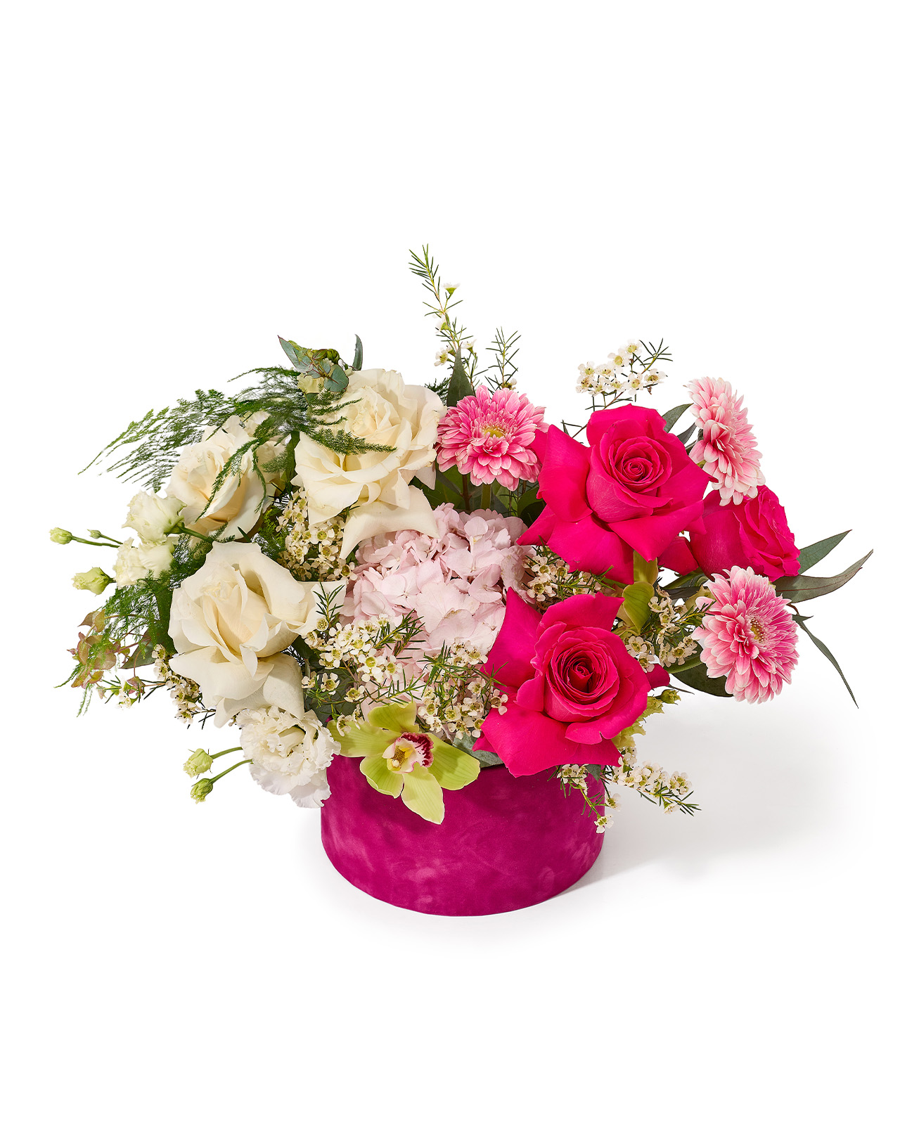 Aranjament floral in cutie de catifea cu trandafiri fucsia si albi, hortensie, gerbera si lisianthus „Honey Blossom”