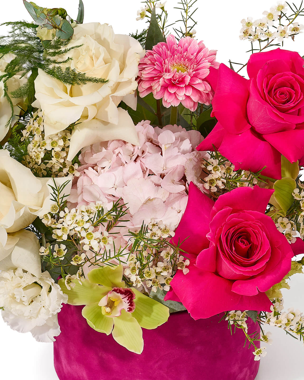 Aranjament floral in cutie de catifea cu trandafiri fucsia si albi, hortensie, gerbera si lisianthus „Honey Blossom”