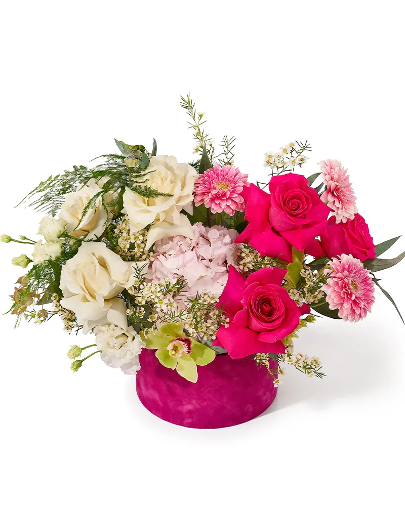 Aranjament floral in cutie de catifea cu trandafiri fucsia si albi, hortensie, gerbera si lisianthus „Honey Blossom”
