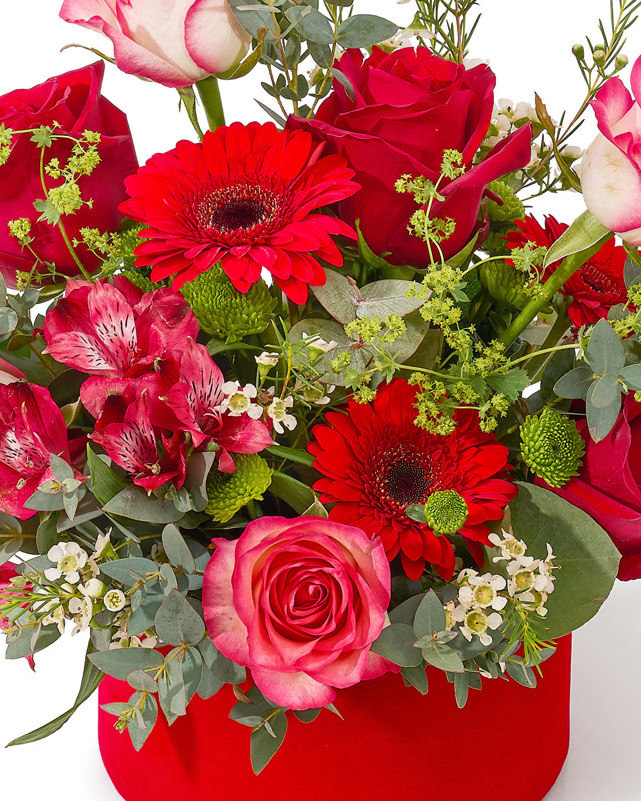 Aranjament floral in cutie de catifea cu trandafiri rosii si roz, minigerbera, alstroemeria si astilbe „Aurora Rose”