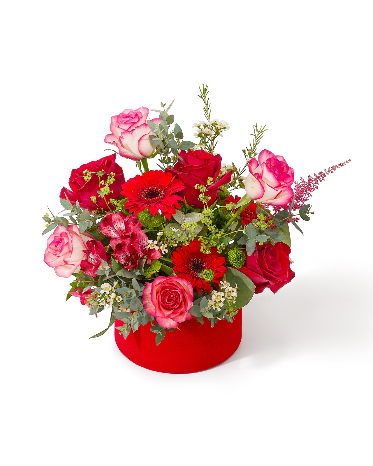 Aranjament floral in cutie de catifea cu trandafiri rosii si roz, minigerbera, alstroemeria si astilbe „Aurora Rose”