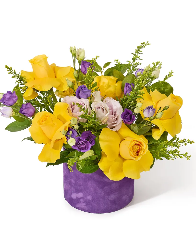 Aranjament floral in cutie de catifea mov cu trandafiri galbeni, minirose, lisianthus si alstroemeria „Dreamy Blooms”