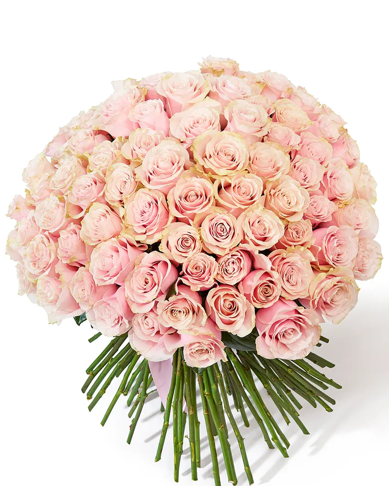 Buchet cu 101 trandafiri roz „Infinite Desire”