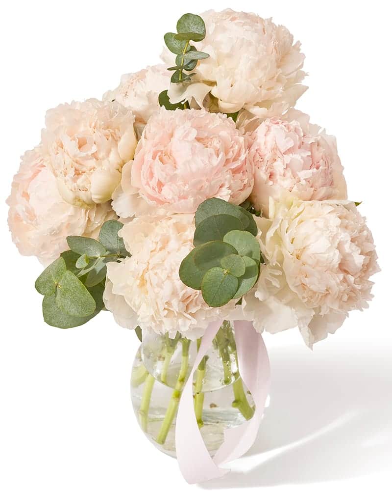Buchet cu bujori si eucalipt „Spring Jubilee”