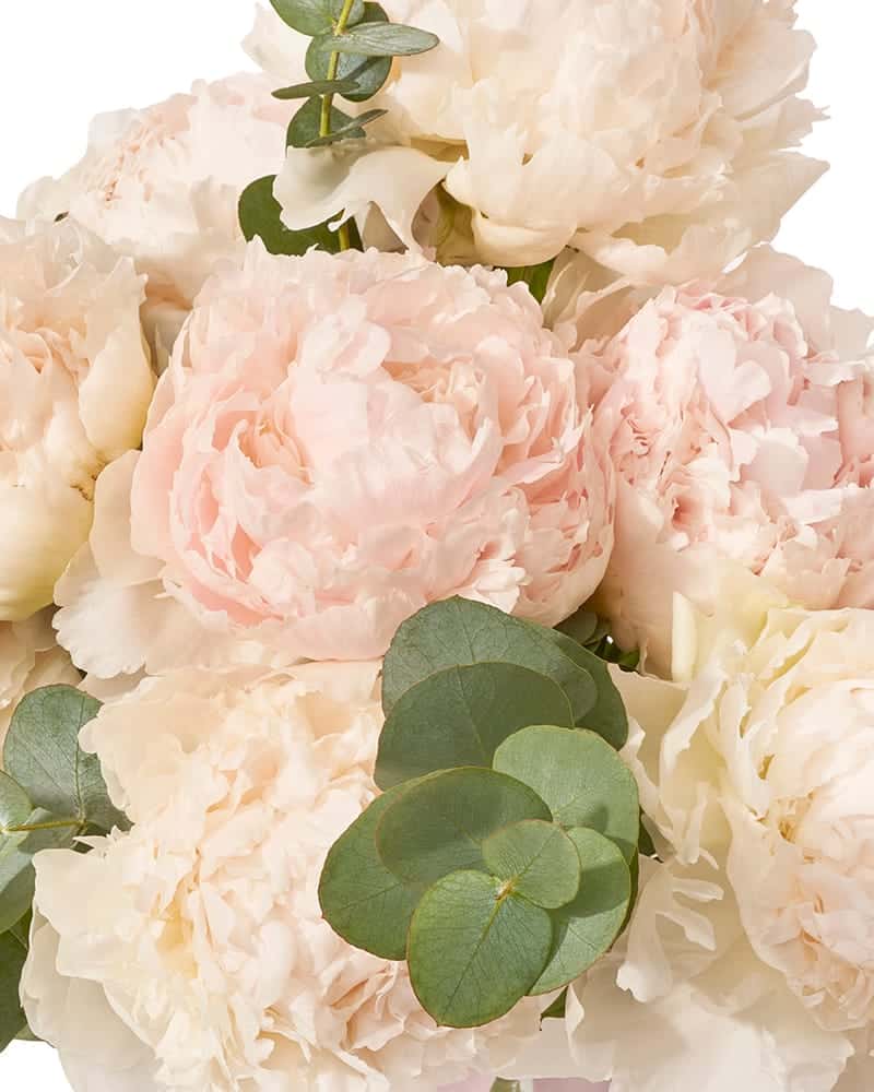 Buchet cu bujori si eucalipt „Spring Jubilee”-2