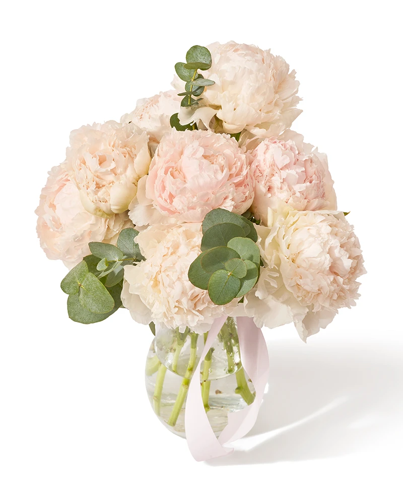 Buchet cu bujori si eucalipt „Spring Jubilee”