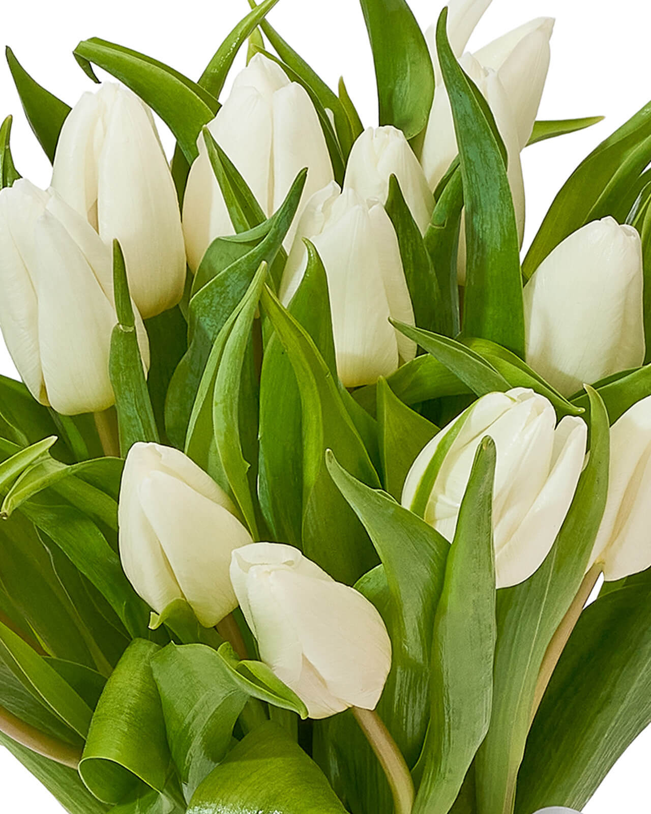 Buchet cu lalele „Blossom Sky”