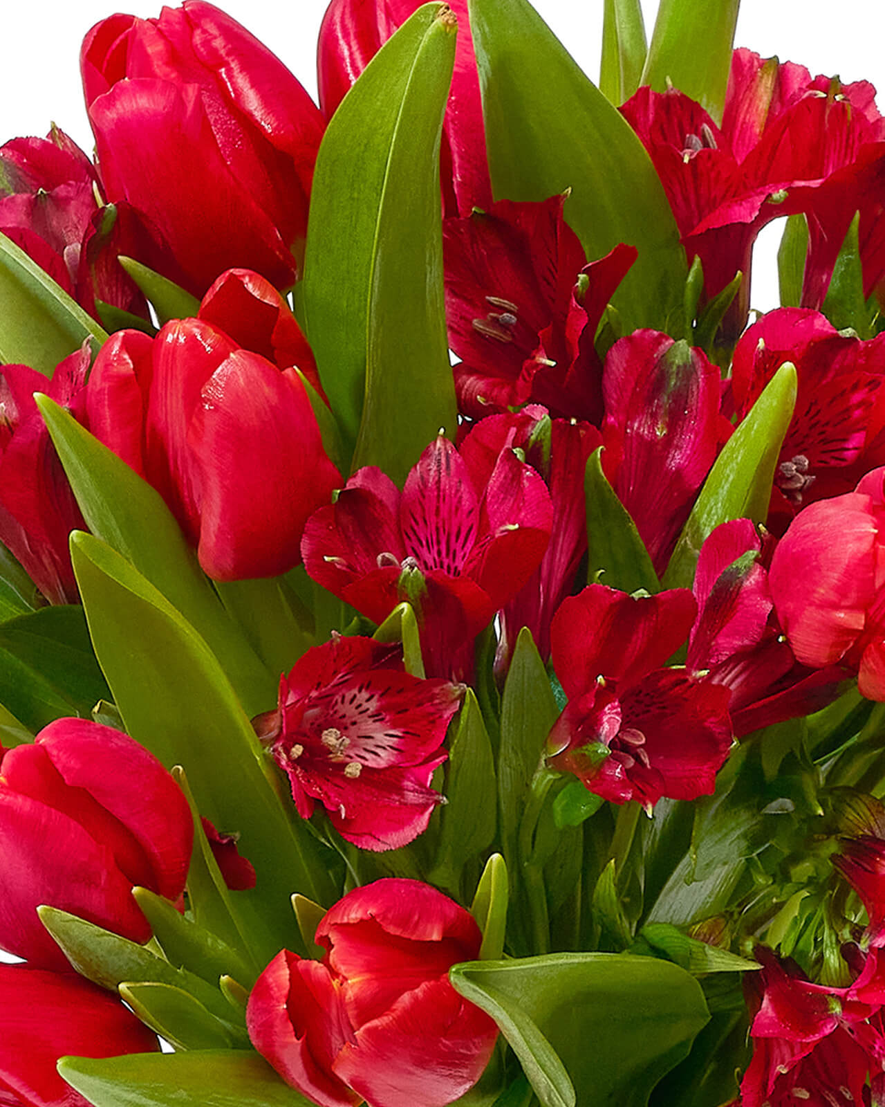Buchet cu lalele și alstroemeria „Morning Petals”