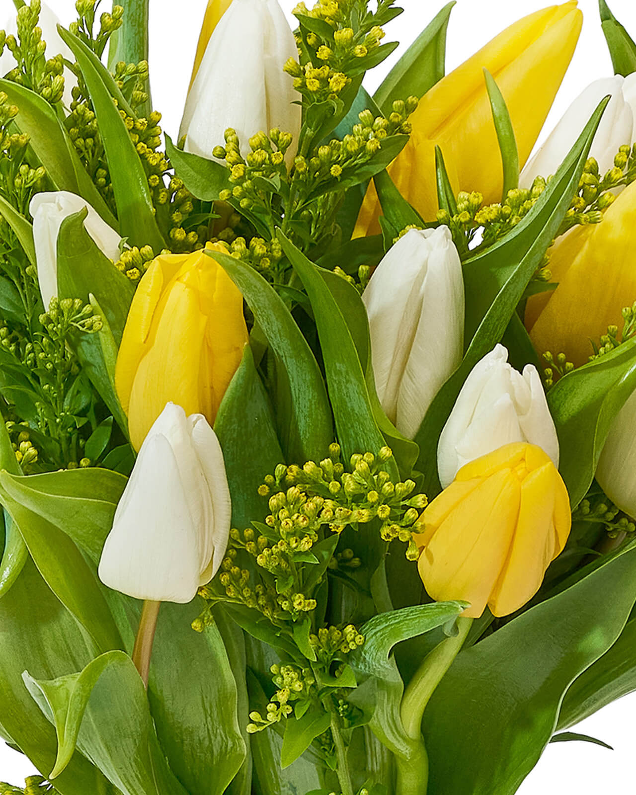 Buchet cu lalele „Morning Bloom”