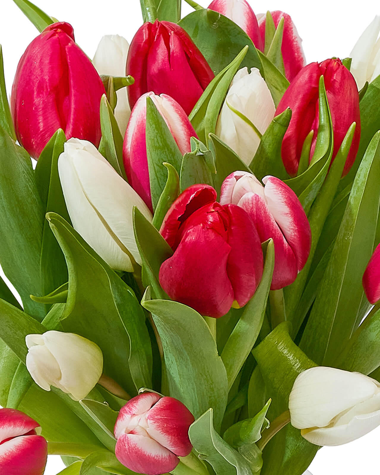 Buchet cu lalele „Sunlit Tulips”