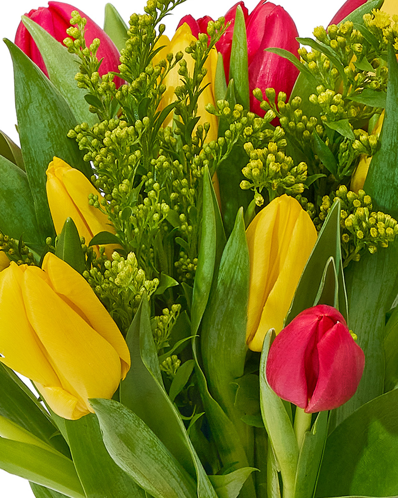 Buchet cu lalele „Tulip Fantasy”-2
