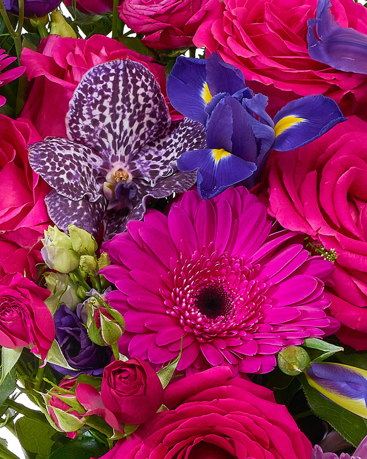 Buchet cu trandafiri, iris și gerbera „Royal Garden”