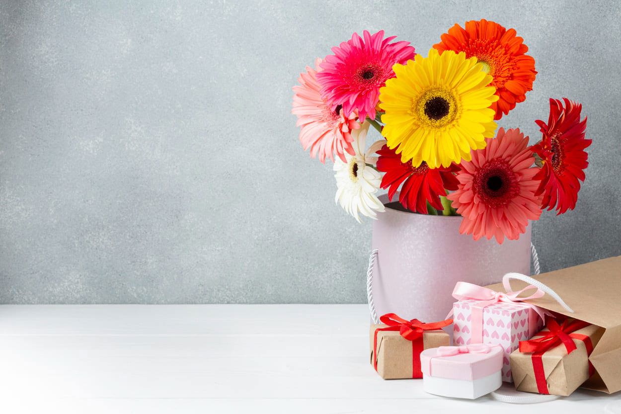 Gerbera: ce mesaje transmite această floare și când să o oferi celor dragi - 2